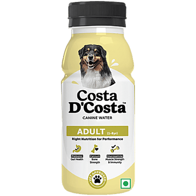 Costa D'Costa Canine Water For Dogs - 1 To 8 Years