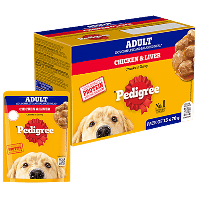 Pedigree Adult Dog Food - Chicken & Liver Chunks In Gravy