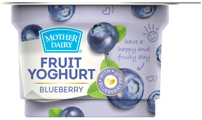 Mother Dairy Yogurt- Blueberry