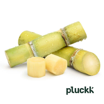 Pluckk Sugarcane Cut
